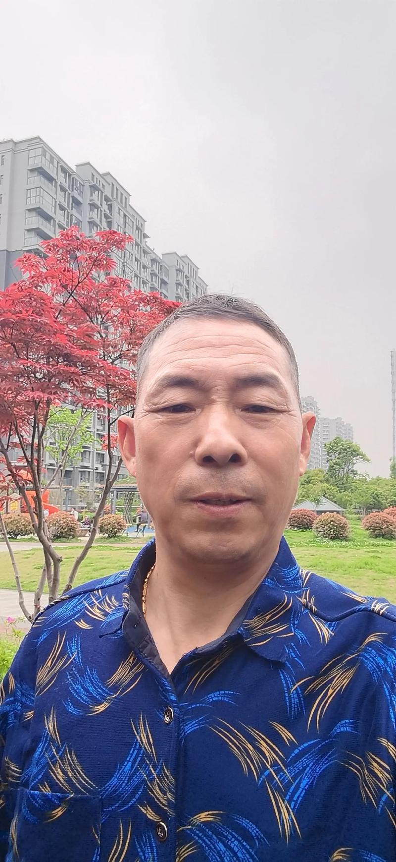 近期失眠的人 最近失眠太严重 近期失眠的人 最近失眠太严重