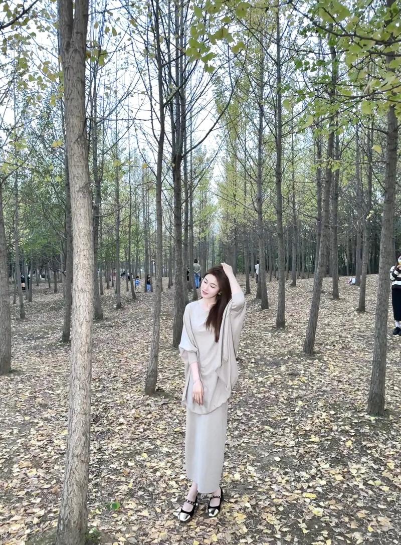 母爱天地间 母爱天地间曲谱 母爱天地间 母爱天地间曲谱