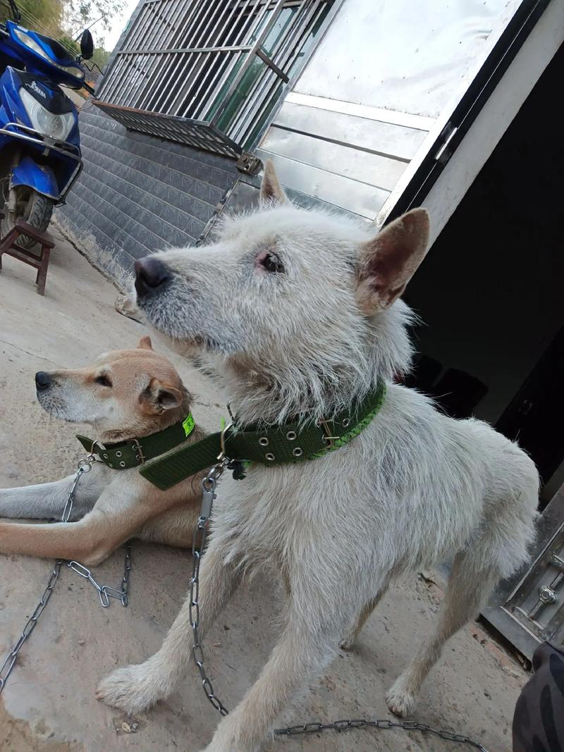 河北二级建造师报名 河北二级建造师报名