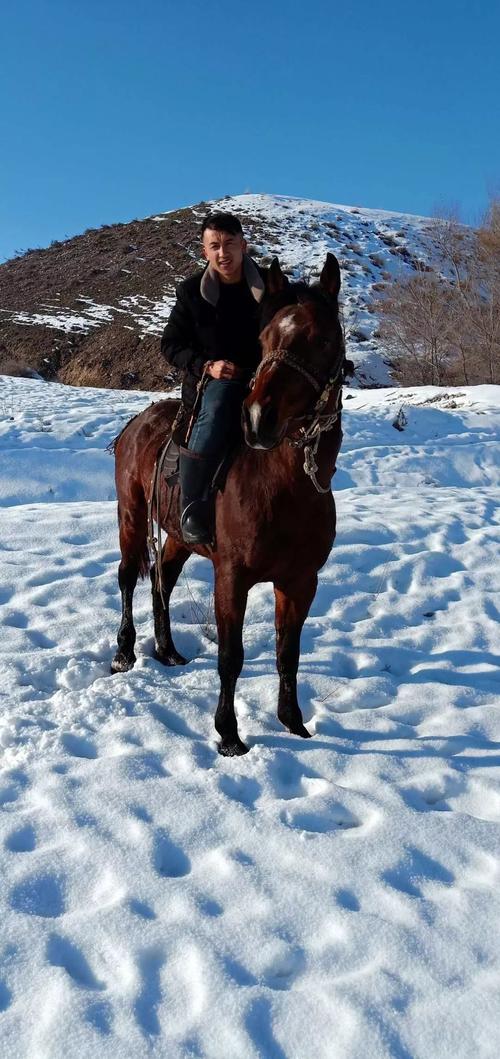 иΪʲôʧ(иΪɶʧ)