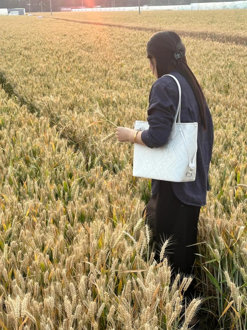 焦虑会心慌失眠耳鸣嘛 焦虑会心慌失眠耳鸣嘛