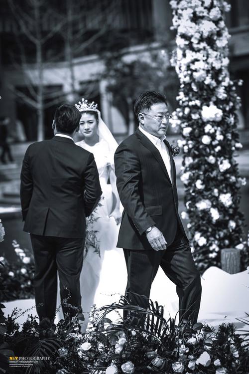 安神治疗失眠的中药 安神治疗失眠的中药有哪些 安神治疗失眠的中药 安神治疗失眠的中药有哪些