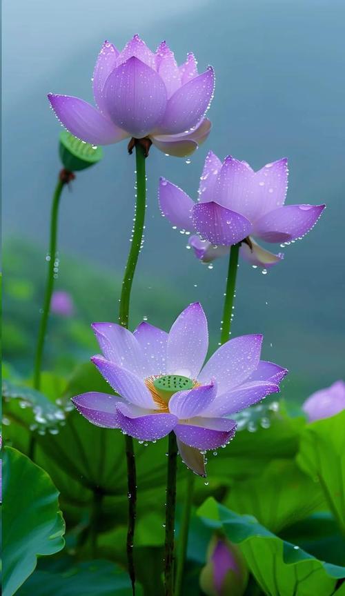 失眠会使大脑代谢异常吗 失眠会使大脑代谢异常吗