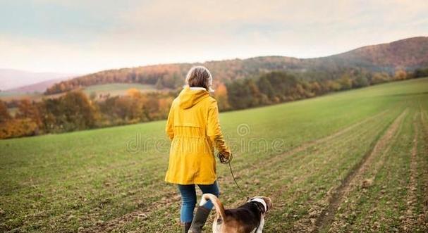 龟苓膏解除失眠 龟苓膏效果 龟苓膏解除失眠 龟苓膏效果