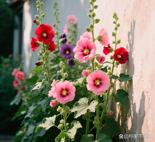 ��Ȯ��ǰ�ڻ��Ļ�ʧ����