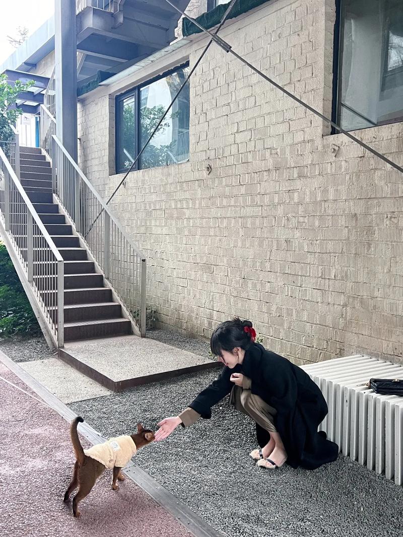 短期失眠会记忆力下降吗 短期失眠会记忆力下降吗