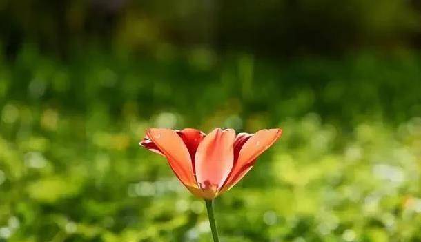 安定注射治失眠安定注射方法 安定注射治失眠安定注射方法